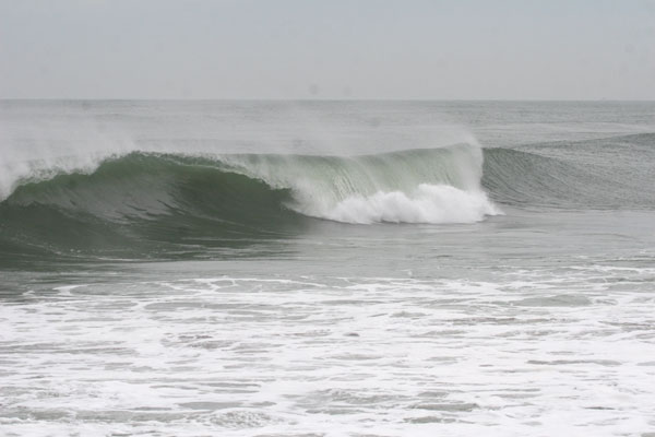 �����𑜓x�̃t���[�ʐ^�f�ނ��J��