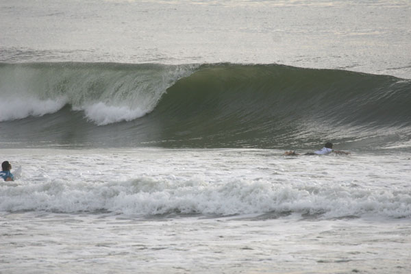 �����𑜓x�̃t���[�ʐ^�f�ނ��J��