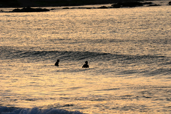 �����𑜓x�̃t���[�ʐ^�f�ނ��J��