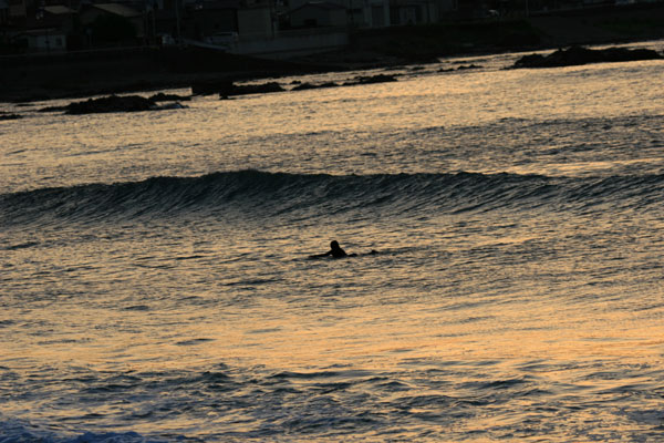 �����𑜓x�̃t���[�ʐ^�f�ނ��J��