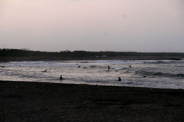 �����𑜓x�̃t���[�ʐ^�f�ނ��J��