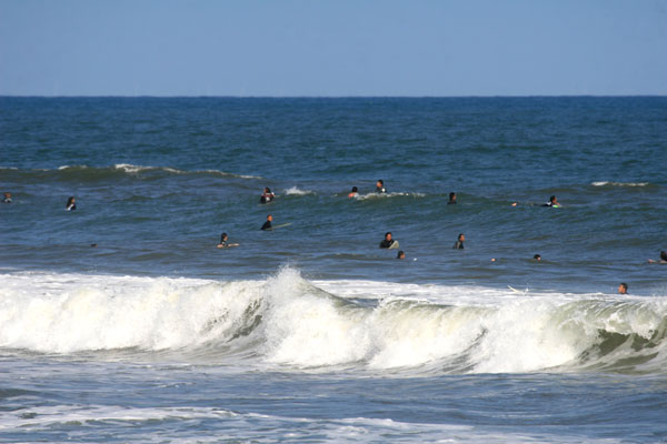 �����𑜓x�̃t���[�ʐ^�f�ނ��J��