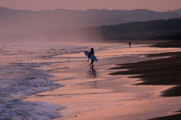 �����𑜓x�̃t���[�ʐ^�f�ނ��J��