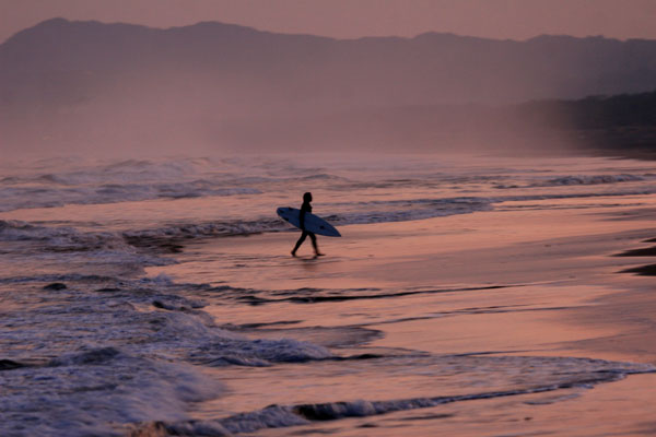 �����𑜓x�̃t���[�ʐ^�f�ނ��J��