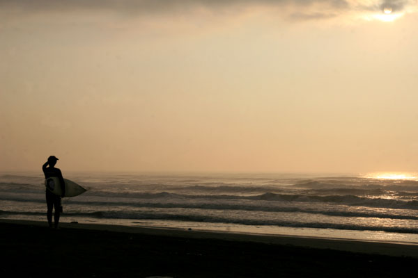 �����𑜓x�̃t���[�ʐ^�f�ނ��J��