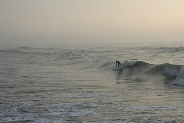 �����𑜓x�̃t���[�ʐ^�f�ނ��J��