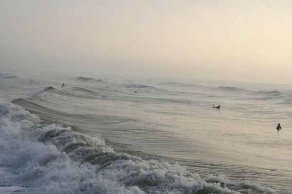 �����𑜓x�̃t���[�ʐ^�f�ނ��J��