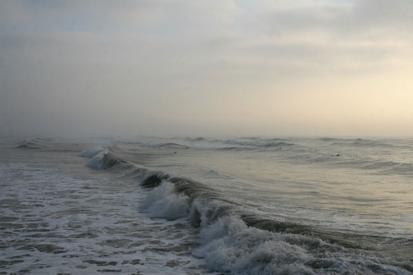 �����𑜓x�̃t���[�ʐ^�f�ނ��J��