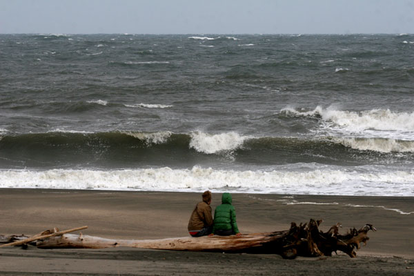 �����𑜓x�̃t���[�ʐ^�f�ނ��J��