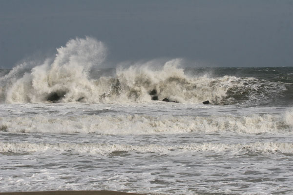 �����𑜓x�̃t���[�ʐ^�f�ނ��J��