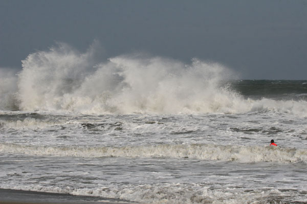 �����𑜓x�̃t���[�ʐ^�f�ނ��J��