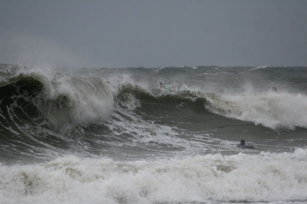 �����𑜓x�̃t���[�ʐ^�f�ނ��J��