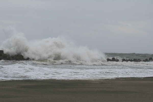 �����𑜓x�̃t���[�ʐ^�f�ނ��J��