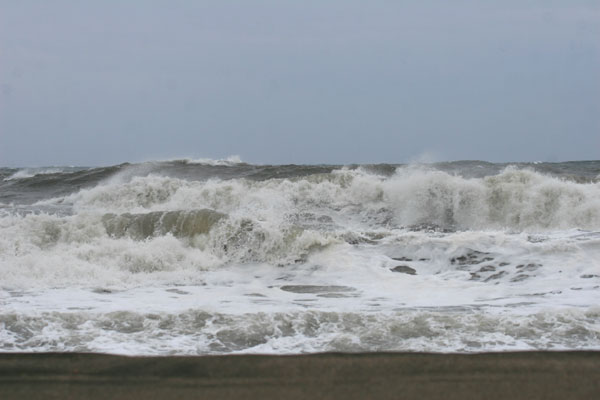 �����𑜓x�̃t���[�ʐ^�f�ނ��J��