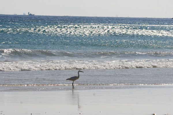 �����𑜓x�̃t���[�ʐ^�f�ނ��J��