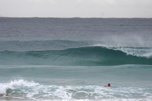 �����𑜓x�̃t���[�ʐ^�f�ނ��J��