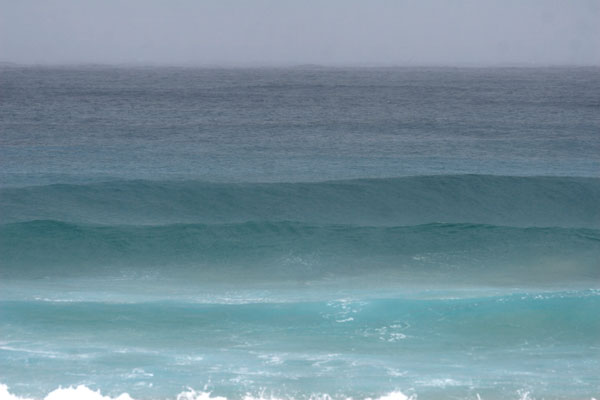 �����𑜓x�̃t���[�ʐ^�f�ނ��J��