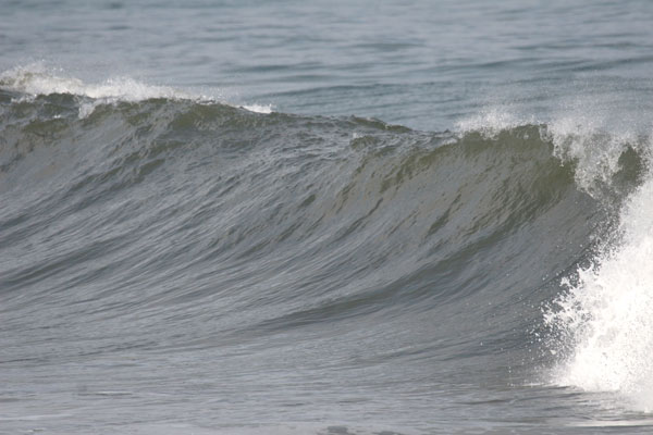 �����𑜓x�̃t���[�ʐ^�f�ނ��J��