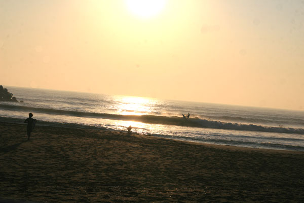 �����𑜓x�̃t���[�ʐ^�f�ނ��J��