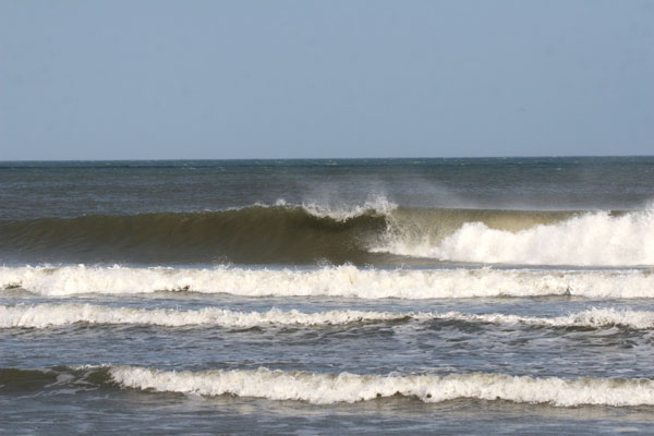 �����𑜓x�̃t���[�ʐ^�f�ނ��J��