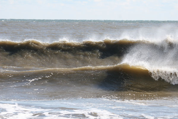 �����𑜓x�̃t���[�ʐ^�f�ނ��J��