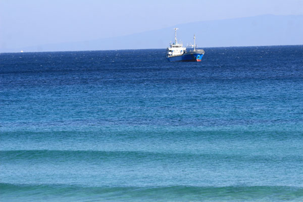 �����𑜓x�̃t���[�ʐ^�f�ނ��J��