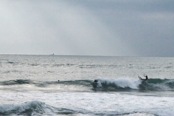 �����𑜓x�̃t���[�ʐ^�f�ނ��J��