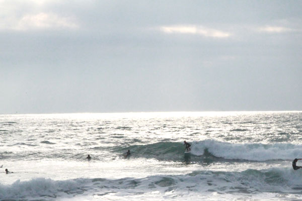 �����𑜓x�̃t���[�ʐ^�f�ނ��J��