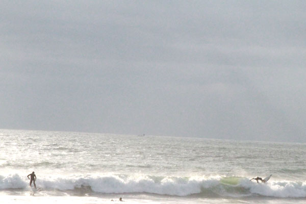 �����𑜓x�̃t���[�ʐ^�f�ނ��J��