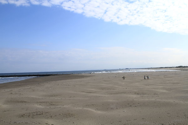 �����𑜓x�̃t���[�ʐ^�f�ނ��J��