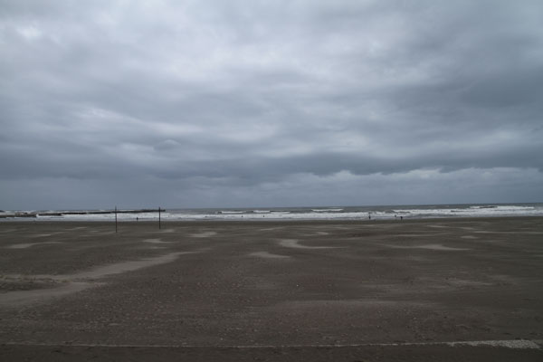 �����𑜓x�̃t���[�ʐ^�f�ނ��J��