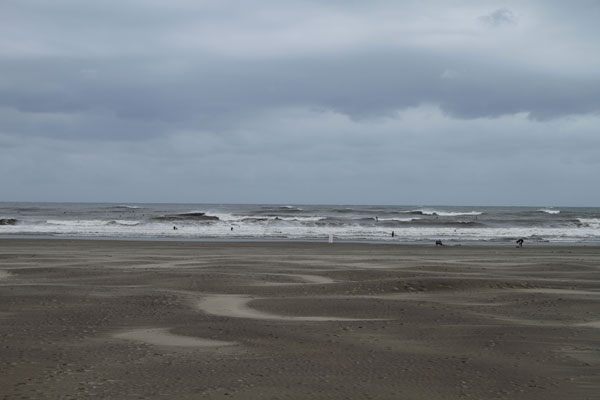 �����𑜓x�̃t���[�ʐ^�f�ނ��J��