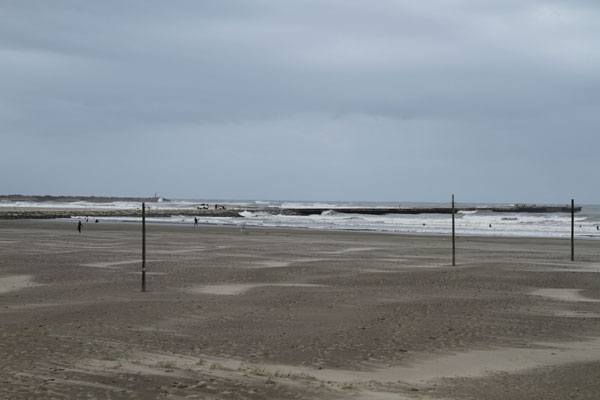 �����𑜓x�̃t���[�ʐ^�f�ނ��J��