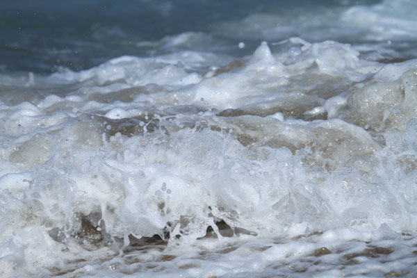 �����𑜓x�̃t���[�ʐ^�f�ނ��J��