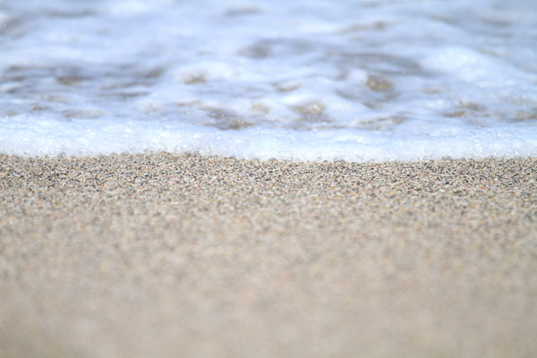 �����𑜓x�̃t���[�ʐ^�f�ނ��J��