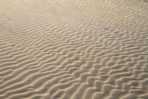 �����𑜓x�̃t���[�ʐ^�f�ނ��J��