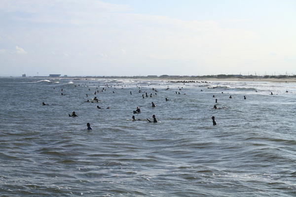 �����𑜓x�̃t���[�ʐ^�f�ނ��J��