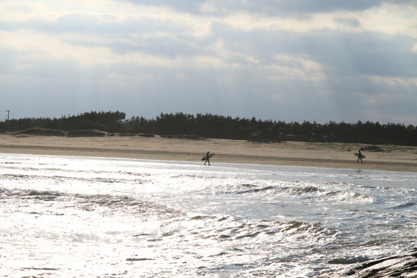 �����𑜓x�̃t���[�ʐ^�f�ނ��J��