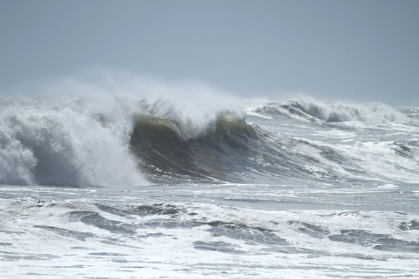 �����𑜓x�̃t���[�ʐ^�f�ނ��J��