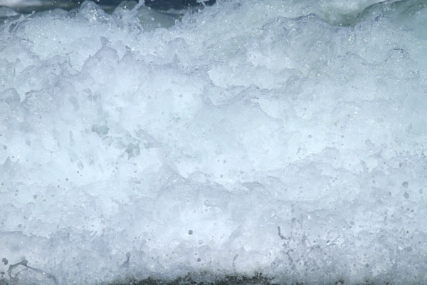 �����𑜓x�̃t���[�ʐ^�f�ނ��J��