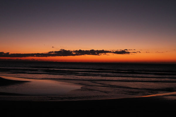 �����𑜓x�̃t���[�ʐ^�f�ނ��J��