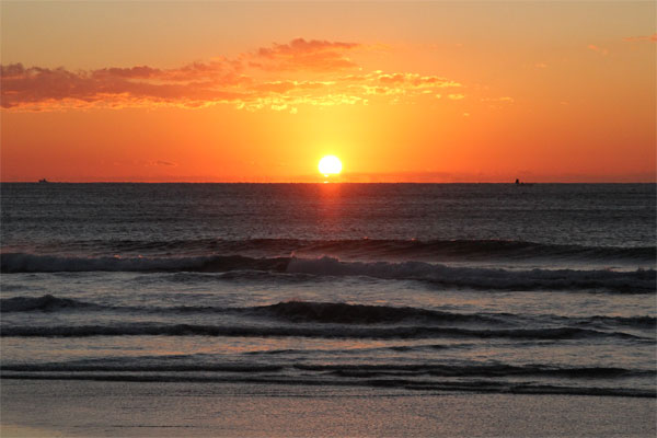 �����𑜓x�̃t���[�ʐ^�f�ނ��J��