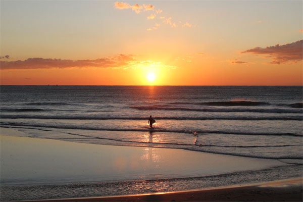 �����𑜓x�̃t���[�ʐ^�f�ނ��J��