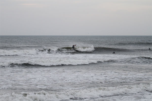 �����𑜓x�̃t���[�ʐ^�f�ނ��J��