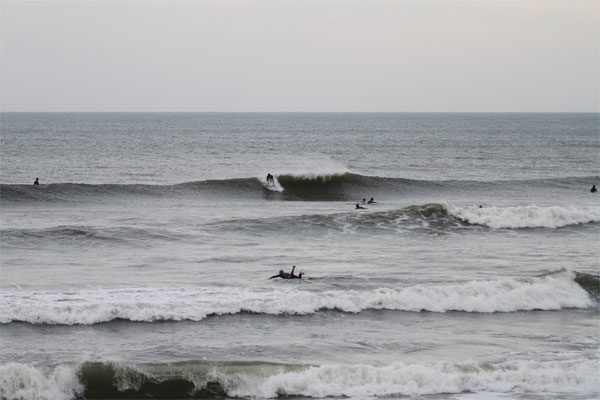 �����𑜓x�̃t���[�ʐ^�f�ނ��J��