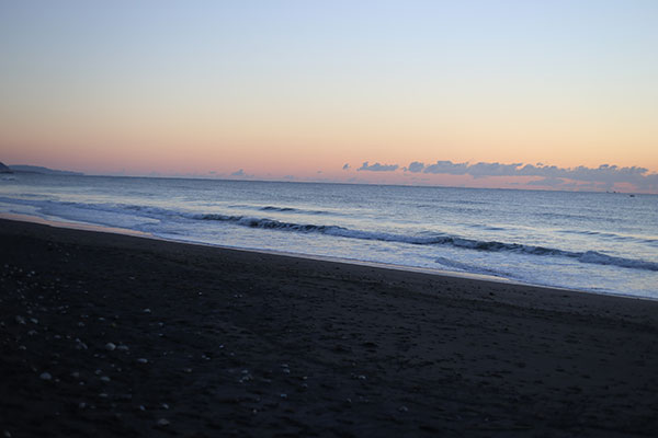 �����𑜓x�̃t���[�ʐ^�f�ނ��J��