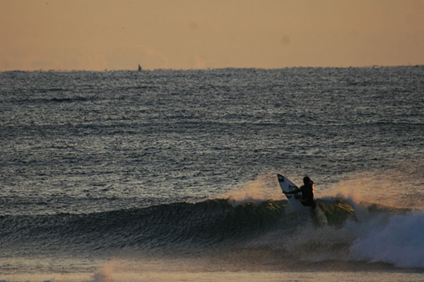 �����𑜓x�̃t���[�ʐ^�f�ނ��J��