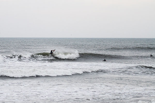 �����𑜓x�̃t���[�ʐ^�f�ނ��J��