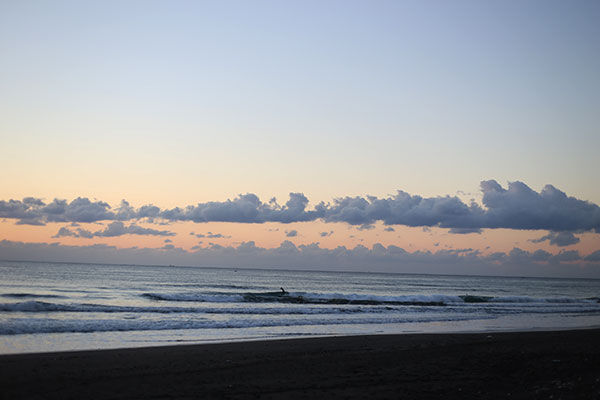 �����𑜓x�̃t���[�ʐ^�f�ނ��J��