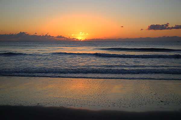 �����𑜓x�̃t���[�ʐ^�f�ނ��J��